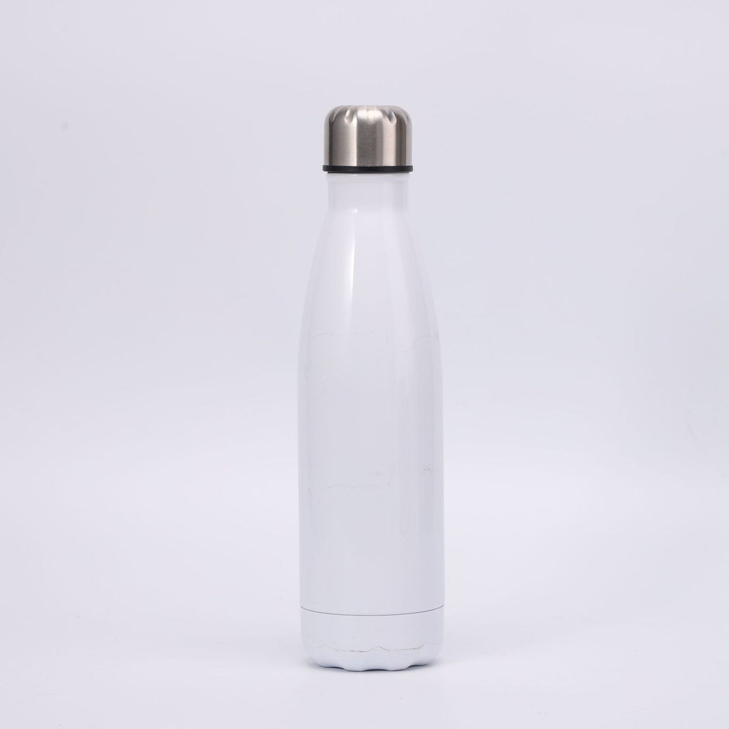Insulated Stainless Steel Water Bottle