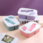 Multi-Section Meal Storage Box