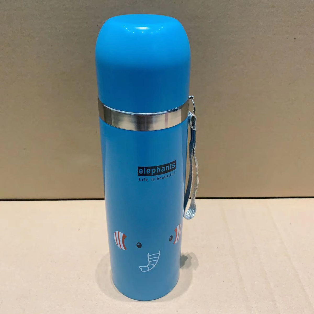 Insulated Stainless Steel Water Bottle