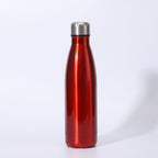 Insulated Stainless Steel Water Bottle