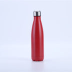 Insulated Stainless Steel Water Bottle