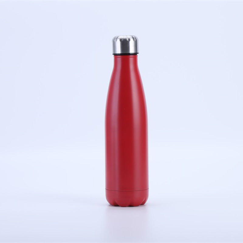 Insulated Stainless Steel Water Bottle