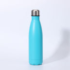 Insulated Stainless Steel Water Bottle