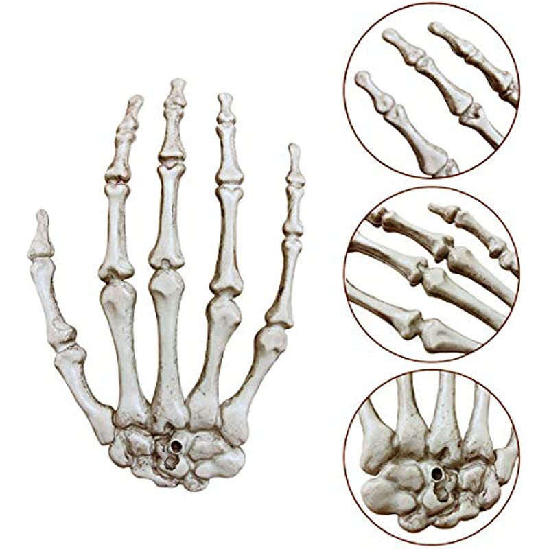 Decorative Skeleton Hand Wall Art