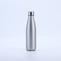 Insulated Stainless Steel Water Bottle