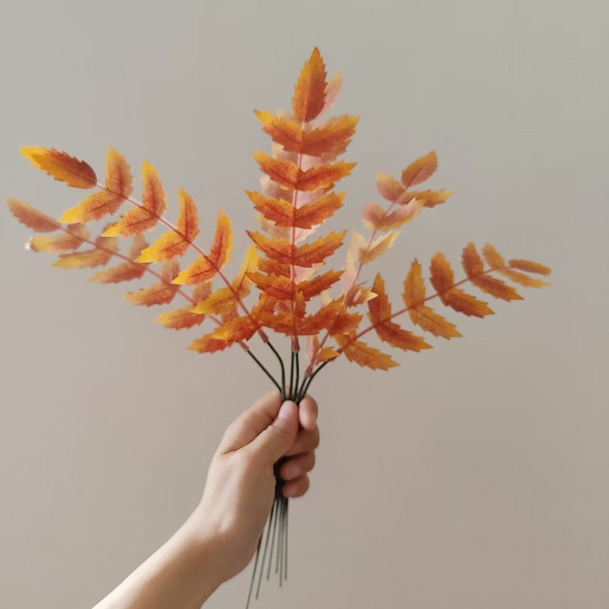 Herbstlicher dekorativer Blattzweig