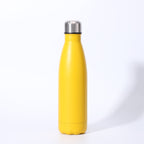 Insulated Stainless Steel Water Bottle