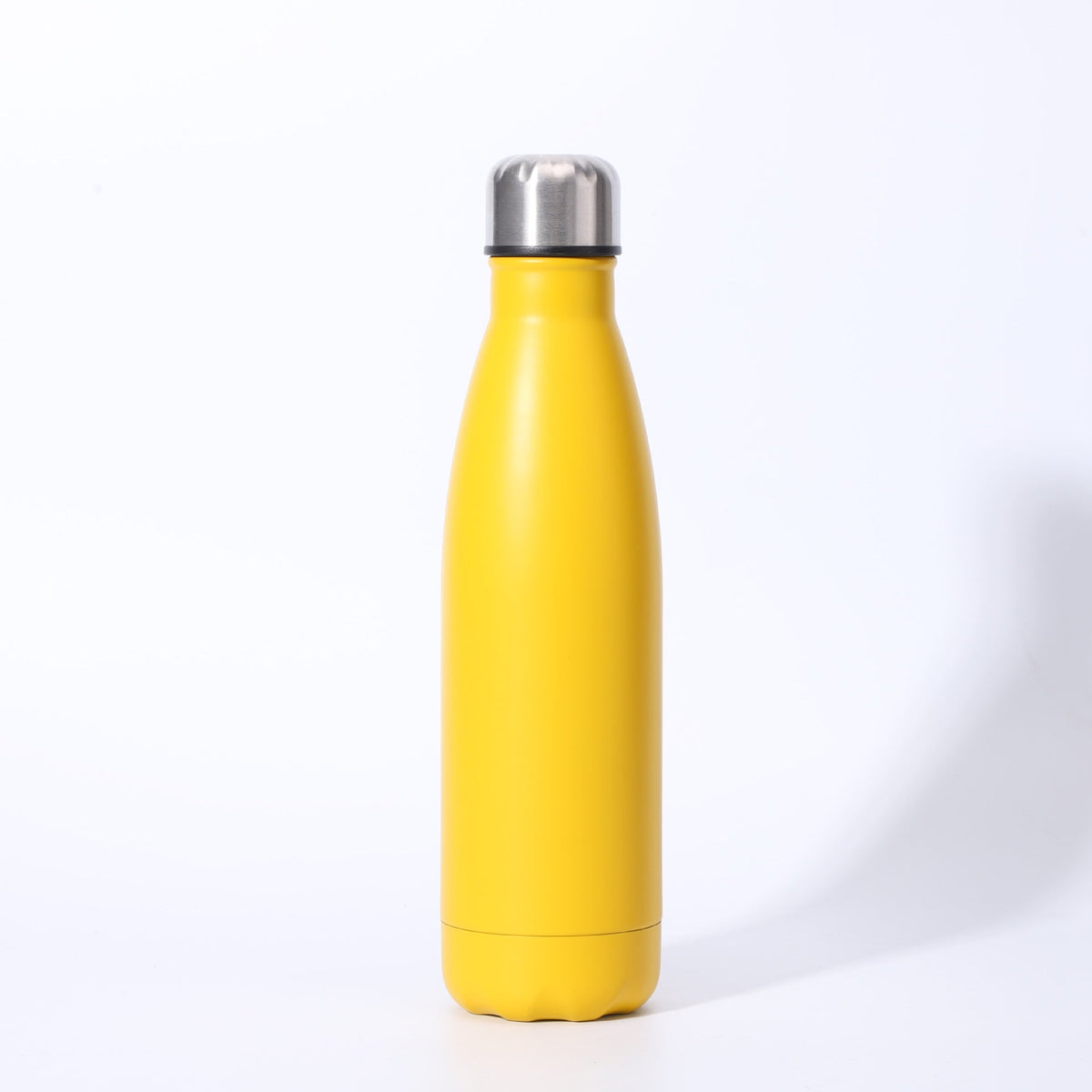 Insulated Stainless Steel Water Bottle