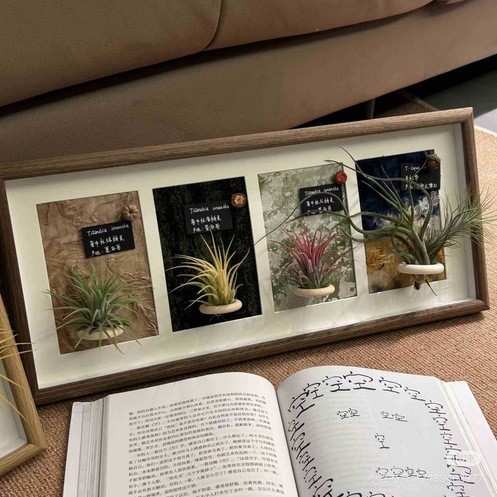 Wall-Mounted Plant Display Frame