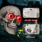 Decorative Skull
