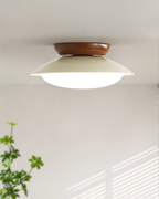Deckenleuchte Metallkuppel 25 cm LED Grün Braun für Bad und Küche
