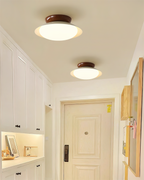 Deckenleuchte Metallkuppel 25 cm LED Grün Braun für Bad und Küche