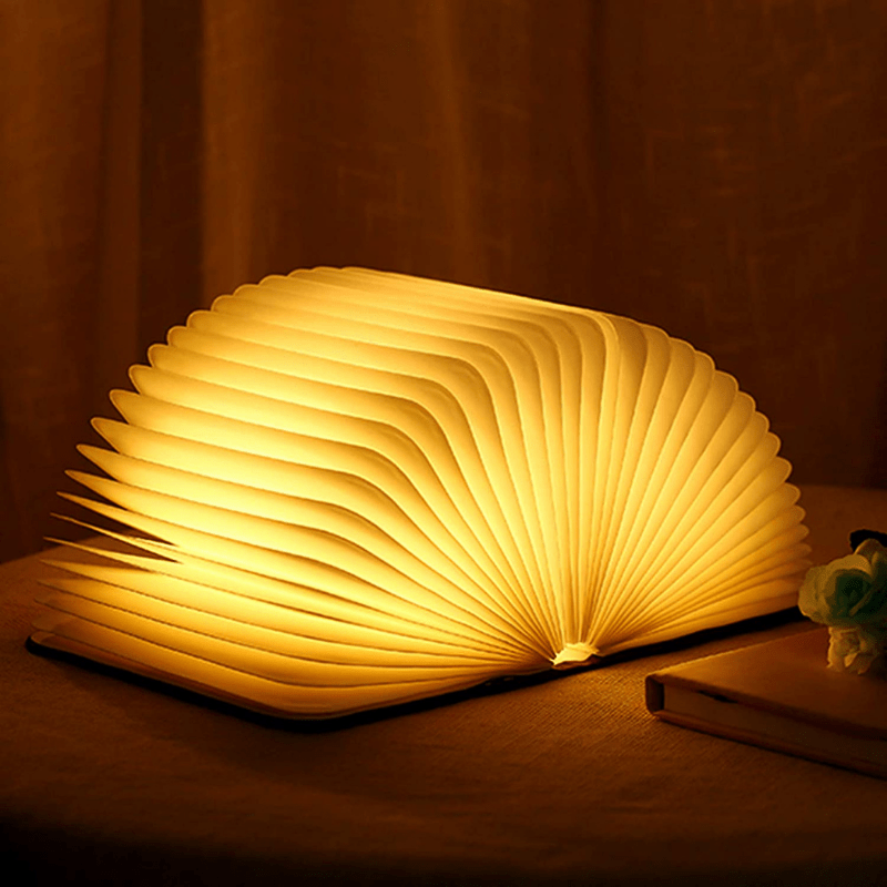 Buch-Leuchte