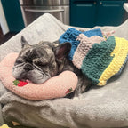Orthopedic Dog Cushion for Stress and Anxiety