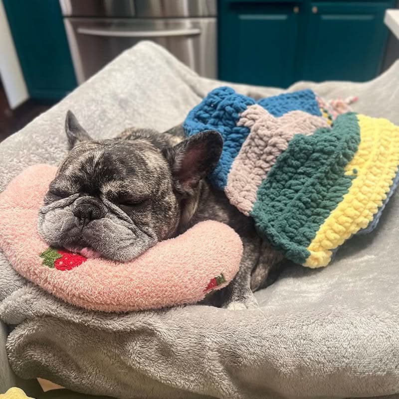 Orthopedic Dog Cushion for Stress and Anxiety