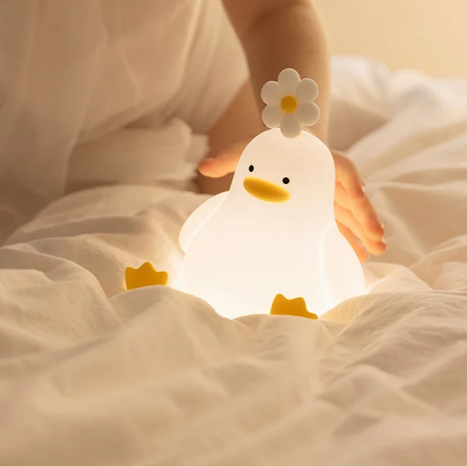 Enten-Nachtlicht
