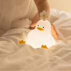 Enten-Nachtlicht