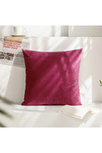 Decor Accent Pillow Case