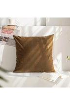Decor Accent Pillow Case