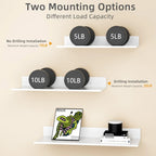 Metallura Wall Shelf