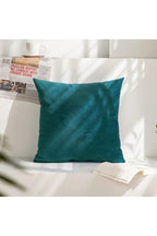 Decor Accent Pillow Case