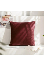 Decor Accent Pillow Case
