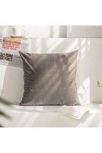 Decor Accent Pillow Case