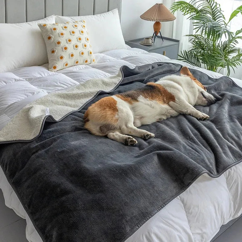 Waterproof Pet Blanket PawProof