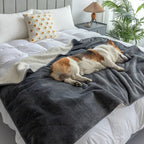 Waterproof Pet Blanket PawProof