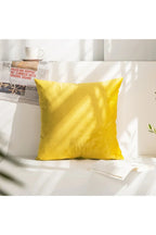 Decor Accent Pillow Case
