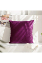 Decor Accent Pillow Case