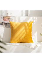Decor Accent Pillow Case