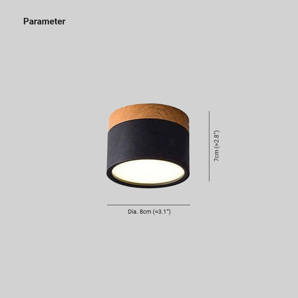 Morandi Style Modern LED Ceiling Lamp