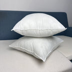 Cushion Inserts (2 Pieces)