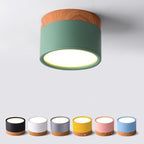 Morandi Style Modern LED Ceiling Lamp