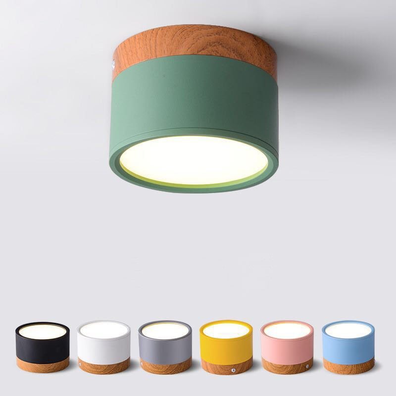 Morandi Style Modern LED Ceiling Lamp