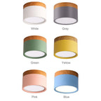 Morandi Style Modern LED Ceiling Lamp