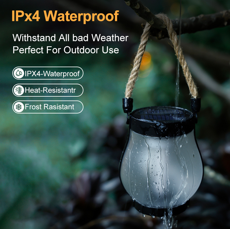Fire Seed Solar Light