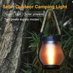 Fire Seed Solar Light