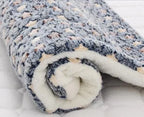 Elyse Cozy Cat Blanket