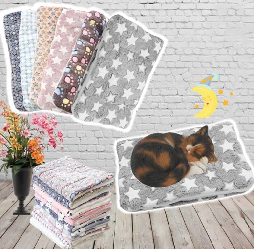 Elyse Cozy Cat Blanket