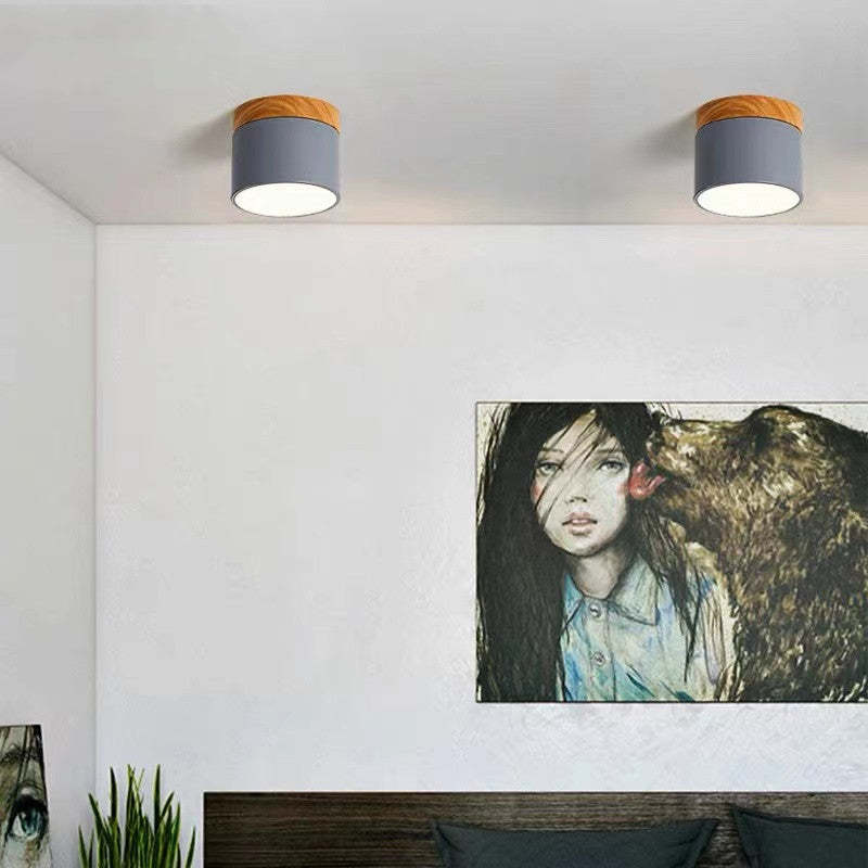Morandi Style Modern LED Ceiling Lamp
