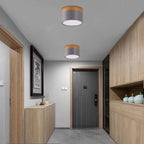 Morandi Style Modern LED Ceiling Lamp