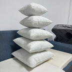 Cushion Inserts (2 Pieces)