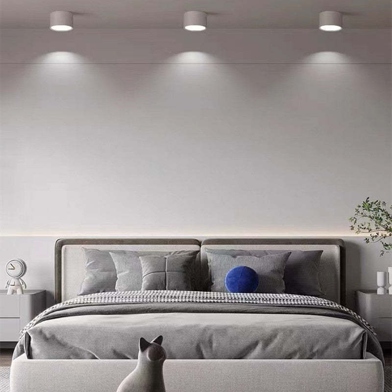 Morandi Style Modern LED Ceiling Lamp