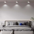 Morandi Style Modern LED Ceiling Lamp