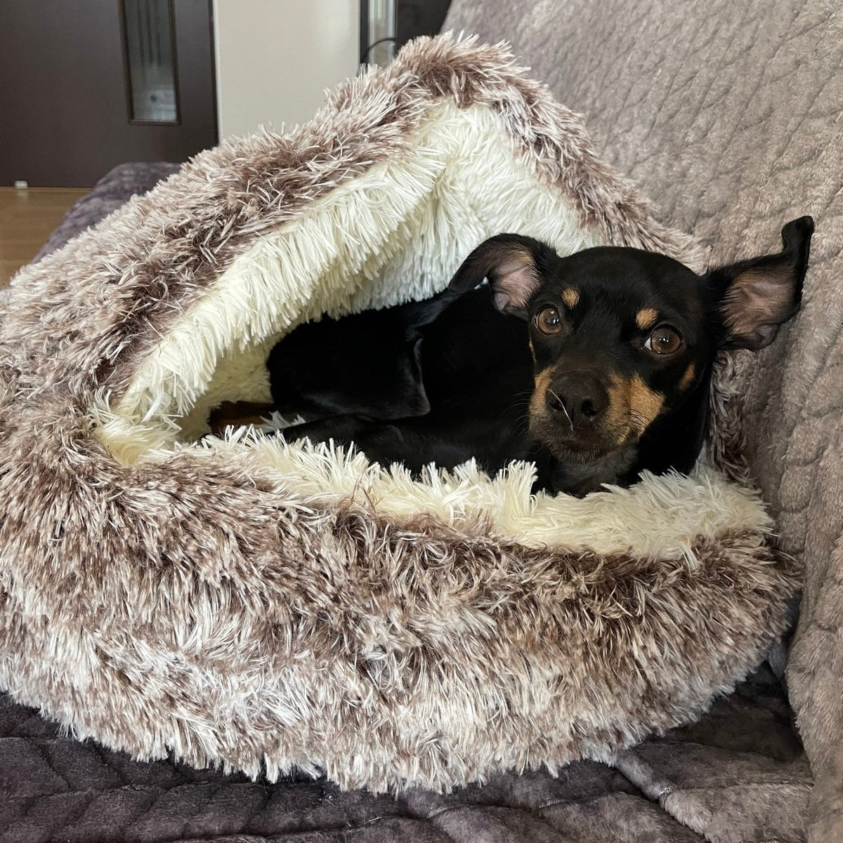 Premium Pet Bed