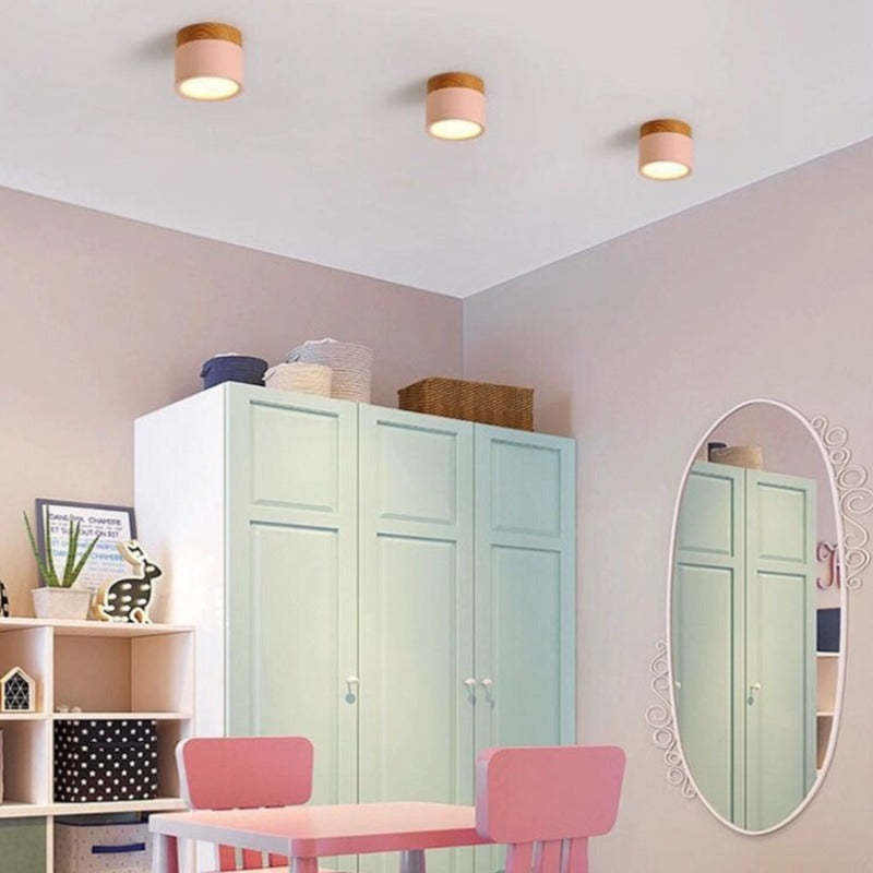 Morandi Style Modern LED Ceiling Lamp