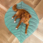 Leafnest Leaf-Shaped Dog Blanket