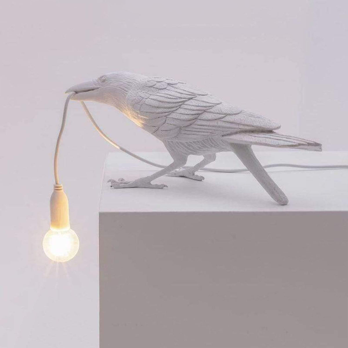 NachtRaaf Ambient Lamp